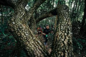 BIB: 
                            <button type="button" onclick="openModal(25392476)" class="btn btn-primary btn-sm float-right btn-popup" data-toggle="modal" data-target=".modal-high-quality">
                        <i class="fas fa-shopping-cart"></i> Add to Cart
                    </button>
                                            <button type="button" onclick="isThisMe(25392476, true)" class="btn btn-success btn-sm float-right btn-popup btn-isme hidden" data-toggle="tooltip" data-placement="bottom" title="นี่คือรูปของคุณใช่ไหม คลิกที่นี่เพื่อเอาเข้าอัลบั้ม">
                        <i class="fas fa-plus"></i> Add to album
                    </button>
                    <button type="button" onclick="isThisMe(25392476, false)" class="btn btn-warning btn-sm float-right btn-popup btn-isnotme hidden">
                        <i class="fas fa-ban"></i> Remove from album
                    </button>